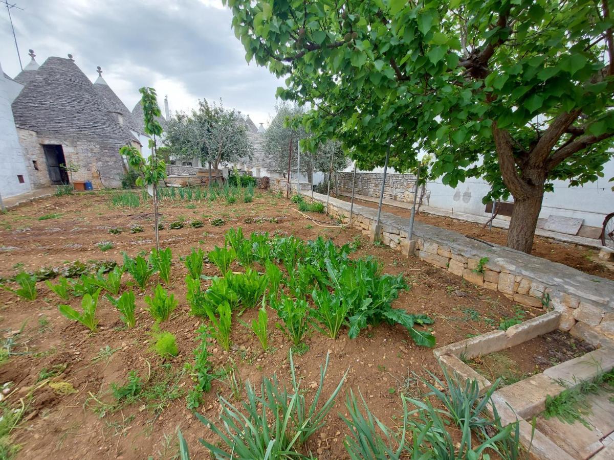 알베르벨로 Il Trullo Di Giada E Mattia 빌라 외부 사진