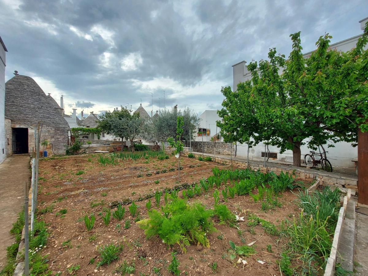 알베르벨로 Il Trullo Di Giada E Mattia 빌라 외부 사진