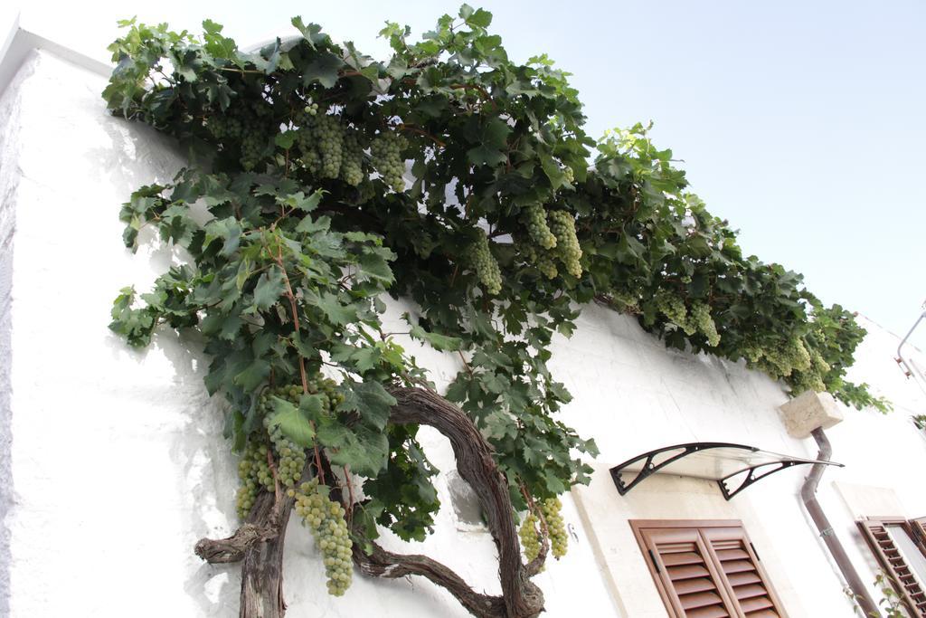 알베르벨로 Il Trullo Di Giada E Mattia 빌라 외부 사진