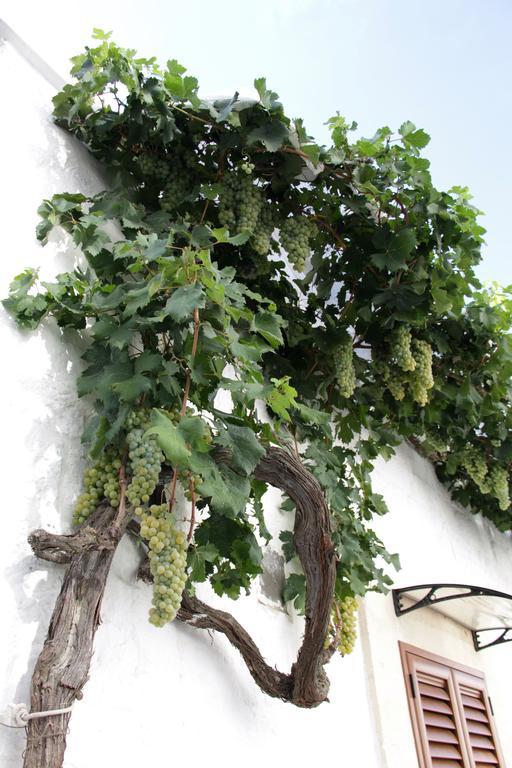 알베르벨로 Il Trullo Di Giada E Mattia 빌라 외부 사진